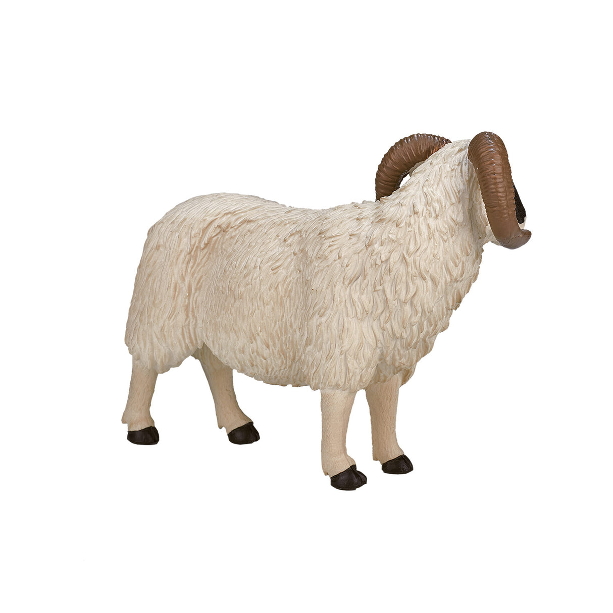 Mojo Ackerland Black Sheep Ram 387081