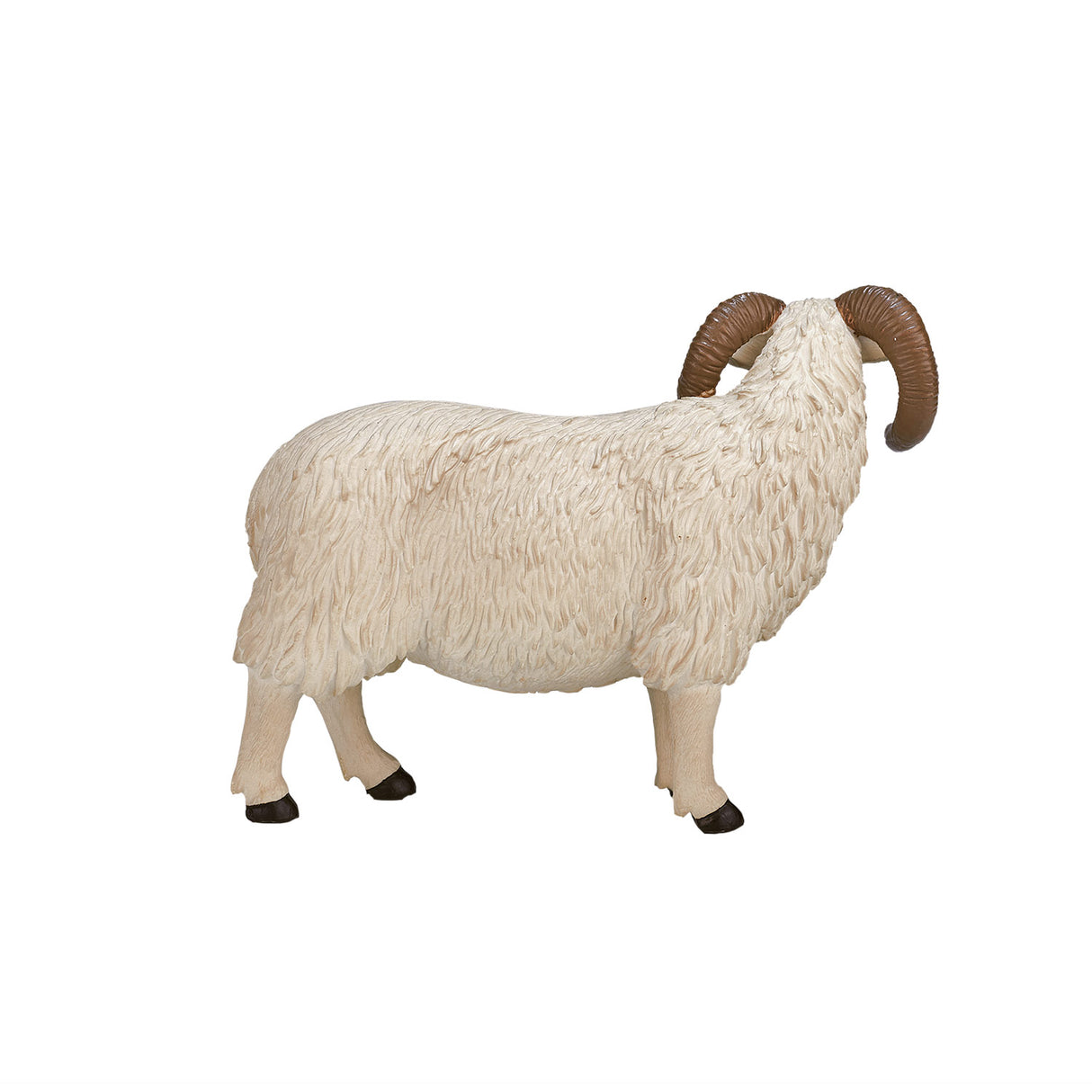 Mojo Ackerland Black Sheep Ram 387081