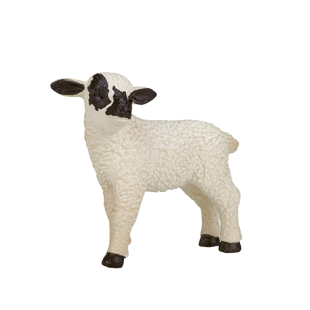 MOJO FARLANDERS BLACK SHIFF LAMB 387059