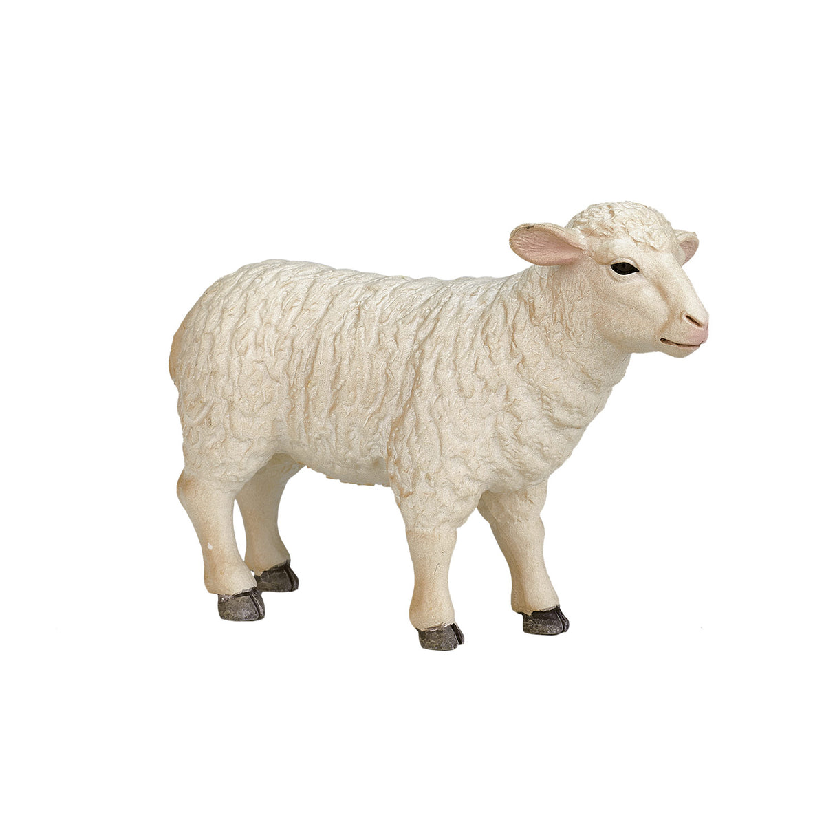 Mojo Ackerland Schaap ooi 387096