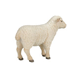 Mojo Farmland Schaap Ooi 387096