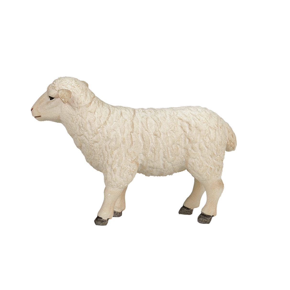 Mojo Ackerland Schaap ooi 387096