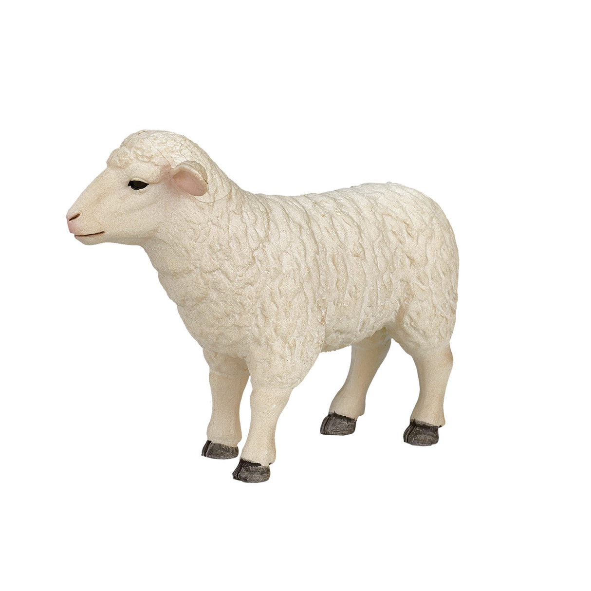 Mojo Ackerland Schaap ooi 387096