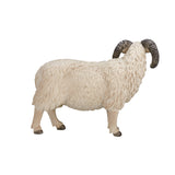 Mojo Ackerland Schaap Ram 387097