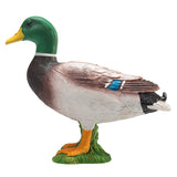 Mojo Akerland wollt Duck 387127