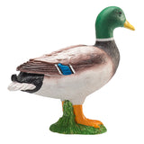 Mojo Akerland wollt Duck 387127