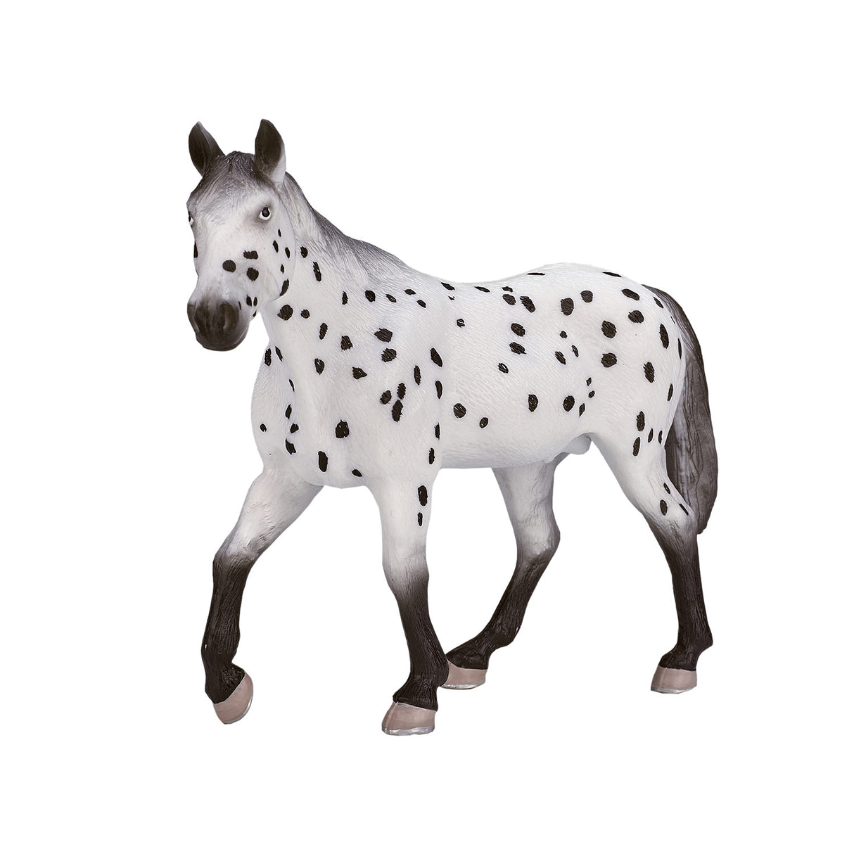 Mojo konj World Appaloosa Hengst 387108