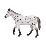 Mojo konj World Appaloosa Hengst 387108