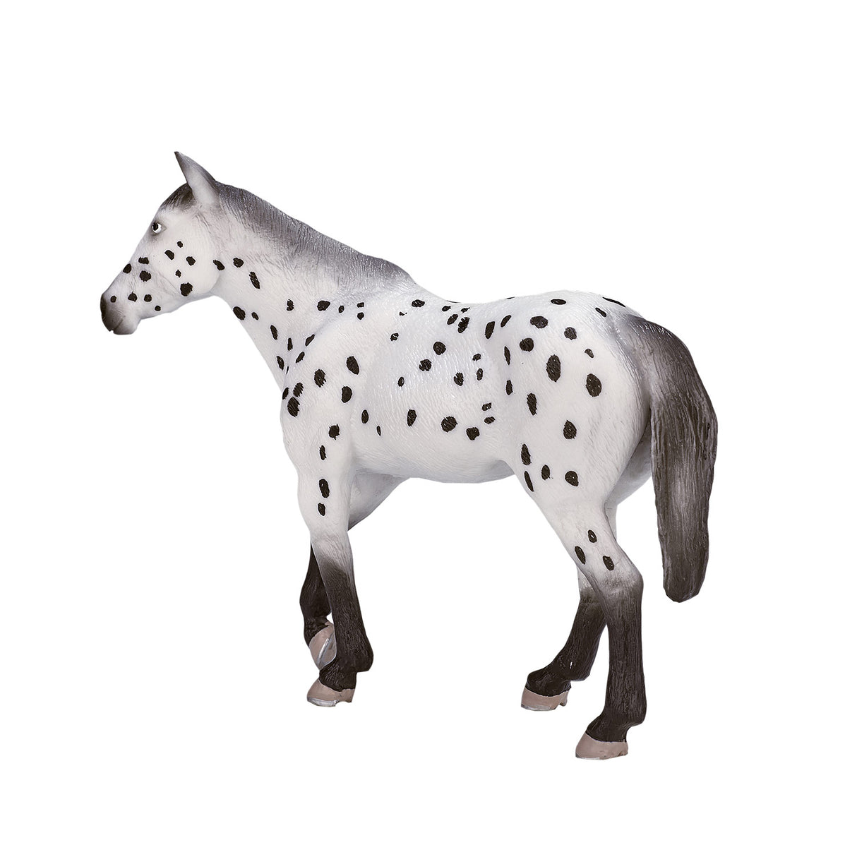 Mojo konj World Appaloosa Hengst 387108