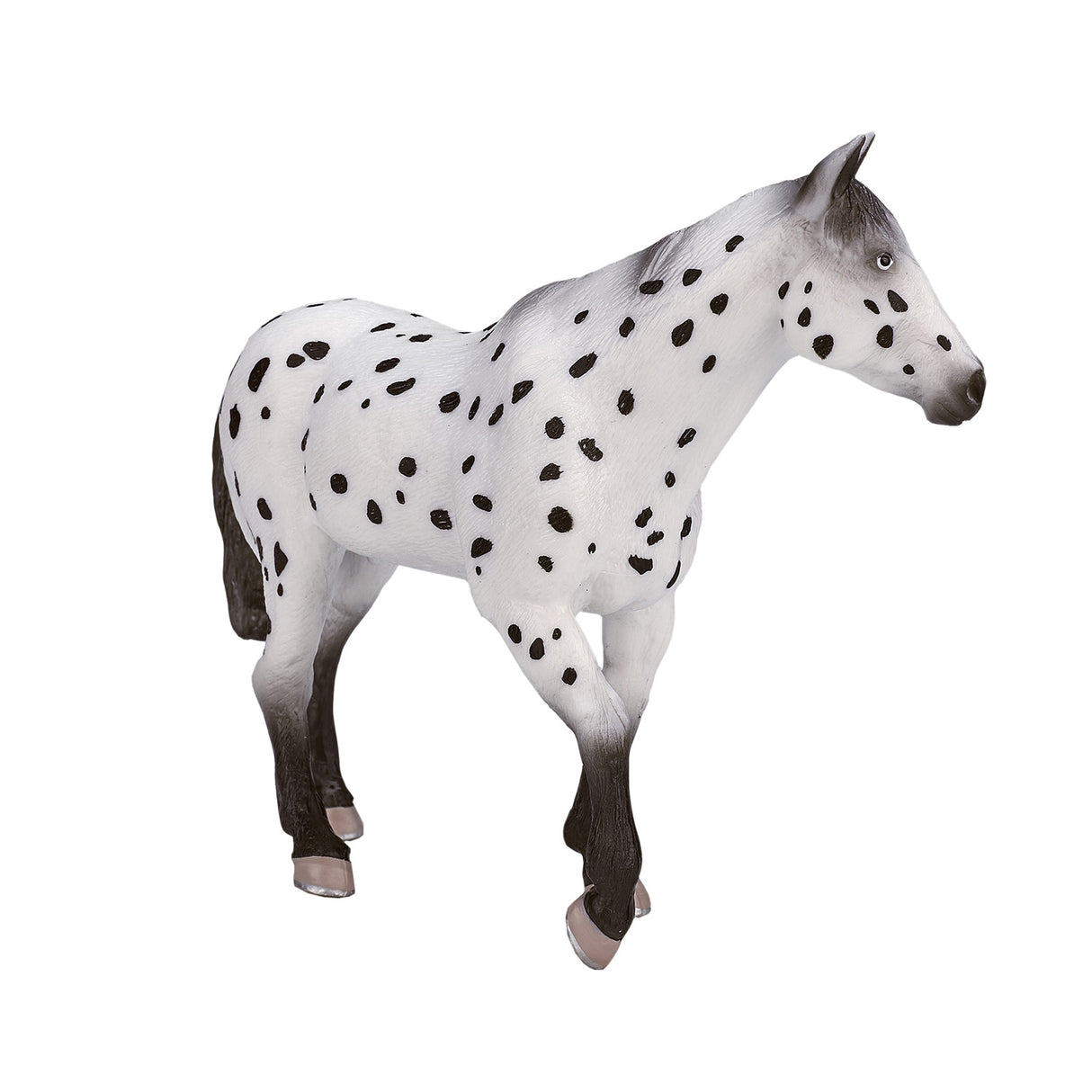 Mojo konj World Appaloosa Hengst 387108