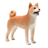 Mojo Ackerland Shiba Inu 387140