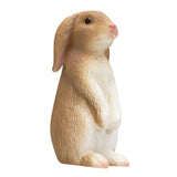 Mojo Ackerland Rabbit 387141