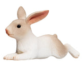 Lapin de terres agricoles mojo se trouvant 387142