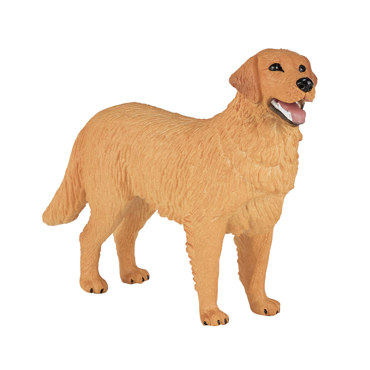 Mojo Ackerland Golden Retriever 387198