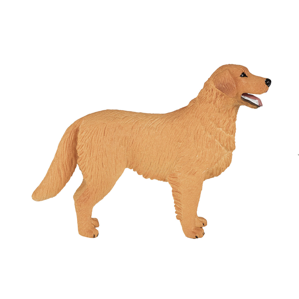 Mojo Ackerland Golden Retriever 387198