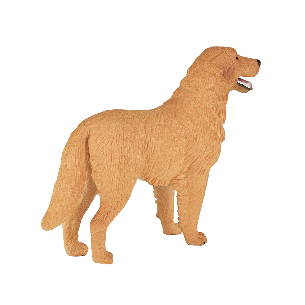 Mojo Bauereland Golden Retriever 387198