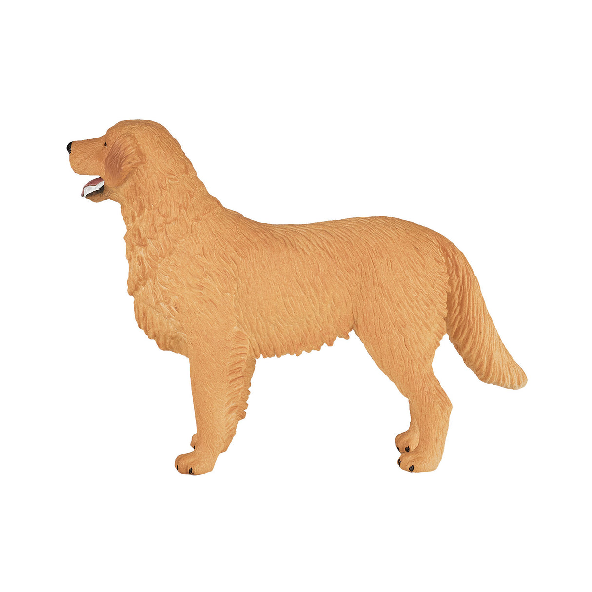 Mojo landbrugsjord Golden Retriever 387198