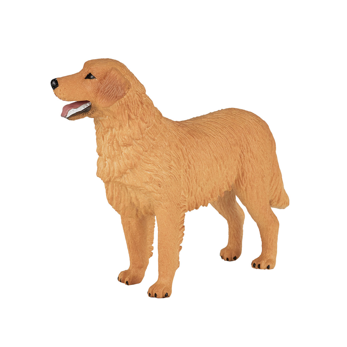 Mojo landbrugsjord Golden Retriever 387198