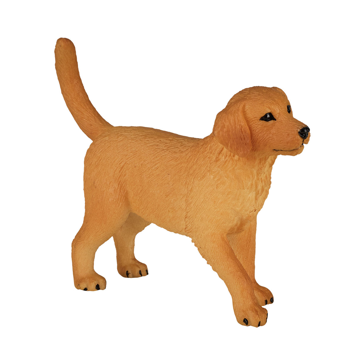 Mojo Bauereland Golden retriever Welpen 3872055