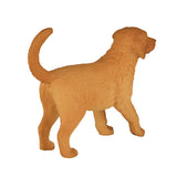 Mojo Bauereland Golden retriever Welpen 3872055