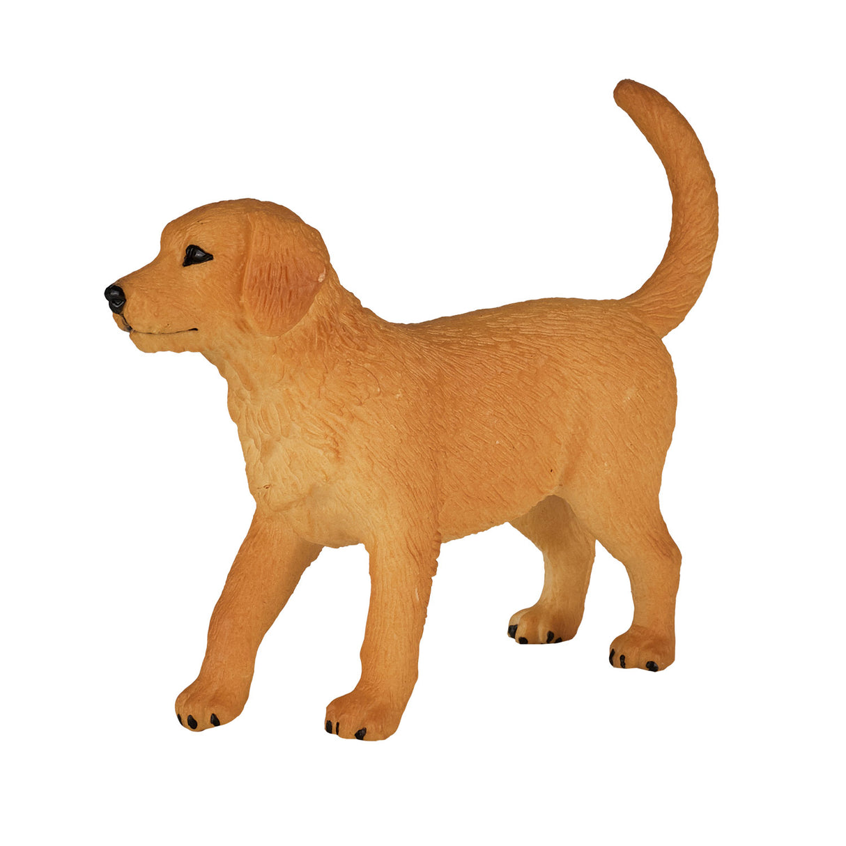 Mojo Bauereland Golden retriever Welpen 3872055