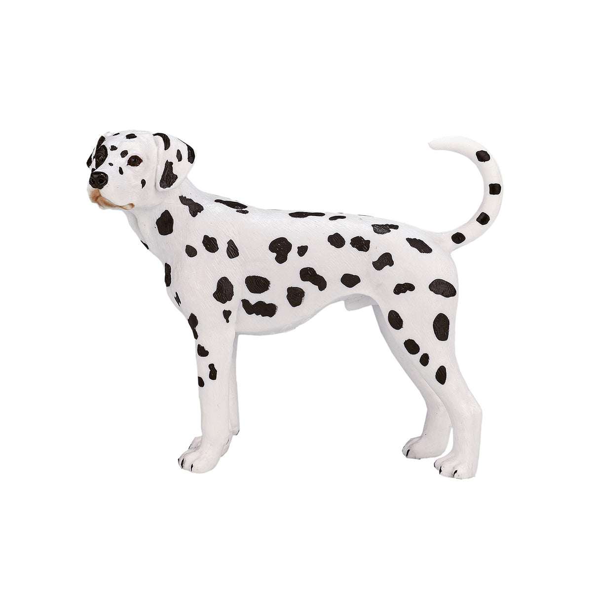 Mojo jordbruksmark dalmatian 387248