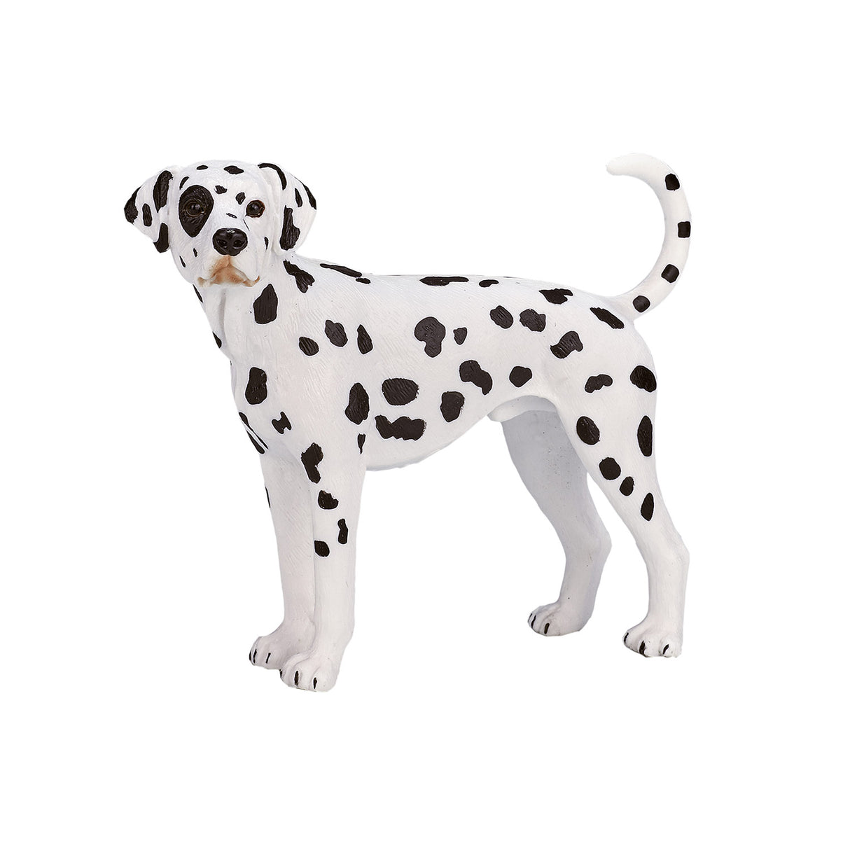 Mojo Bauereland Dalmatian 387248