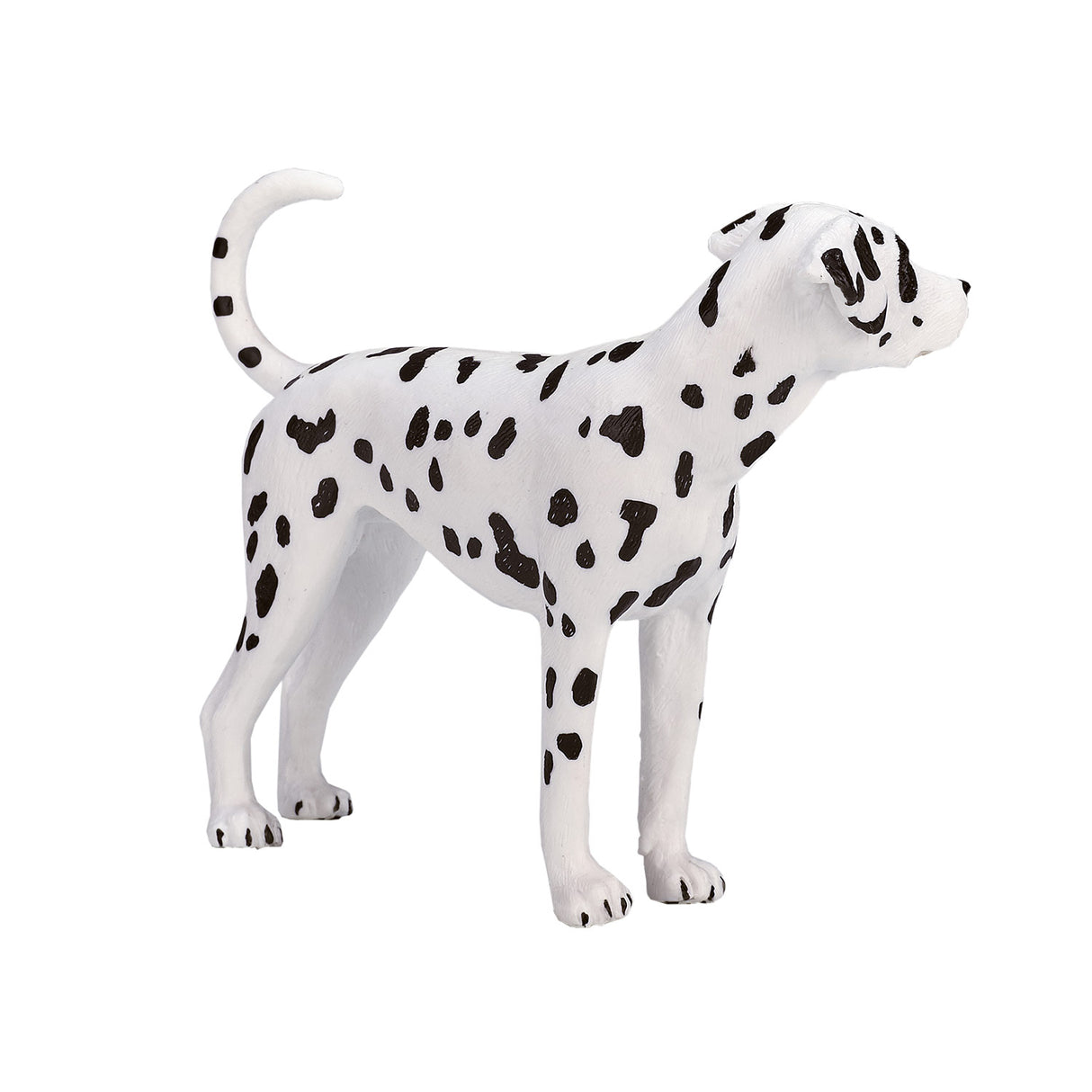 Mojo Bauereland Dalmatian 387248