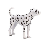 Mojo jordbruksmark dalmatian 387248