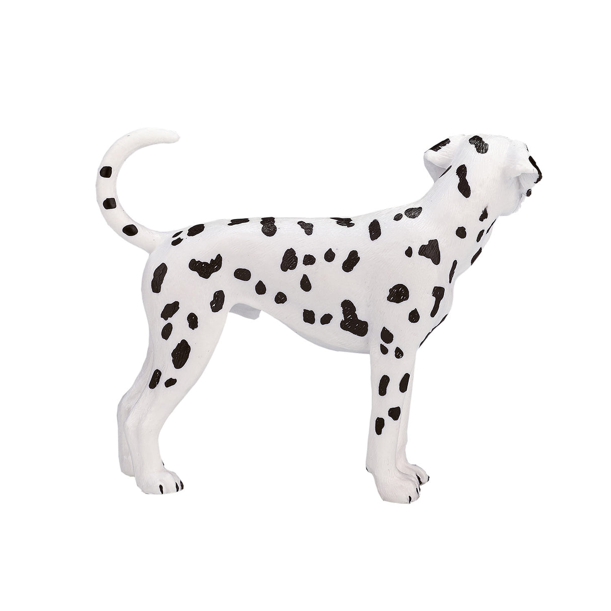 Mojo Bauereland Dalmatian 387248