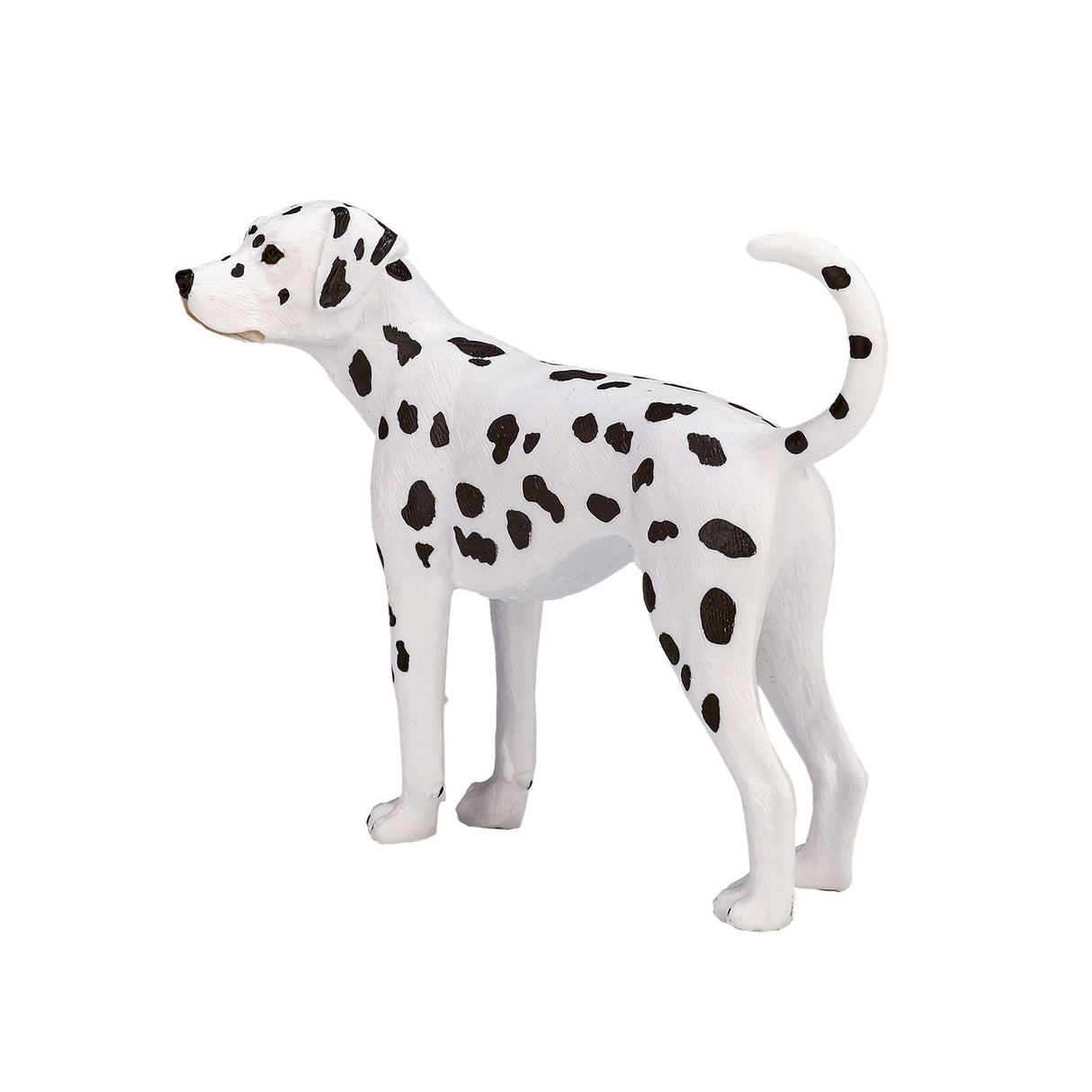 Mojo Bauereland Dalmatian 387248