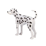 Mojo jordbruksmark dalmatian 387248