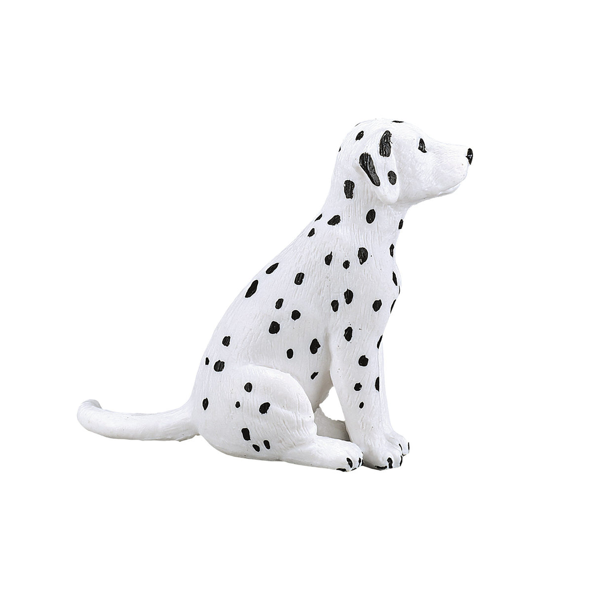 Mojo jordbruksmark dalmatisk valp 387249