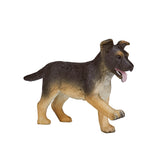 Mojo Farmland Shepherd allemand Puppy 387261