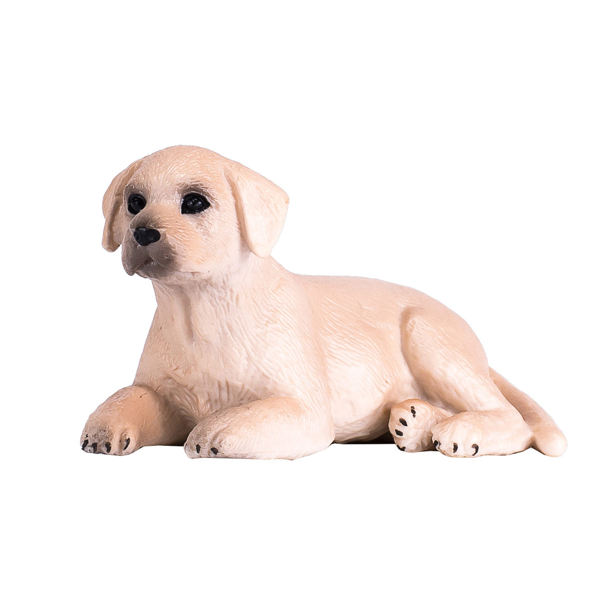 Mojo Akerland Labrador Puppis 387272