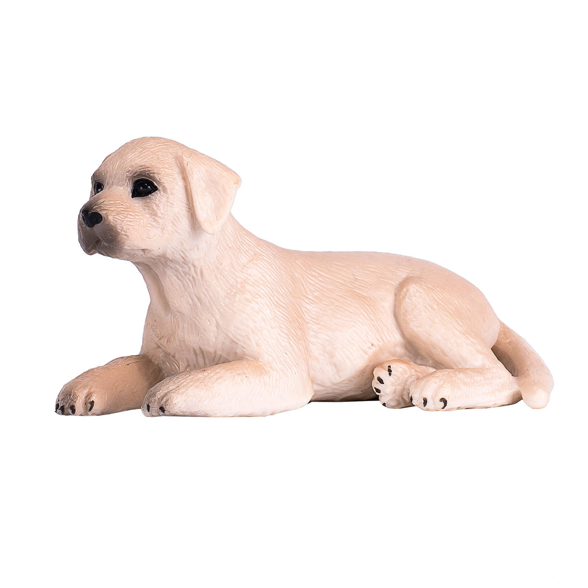 Mojo Akerland Labrador Puppis 387272