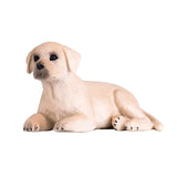 Mojo Akerland Labrador Puppis 387272