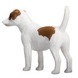 Mojo landbrugsjord Jack Russell Terrier 387286