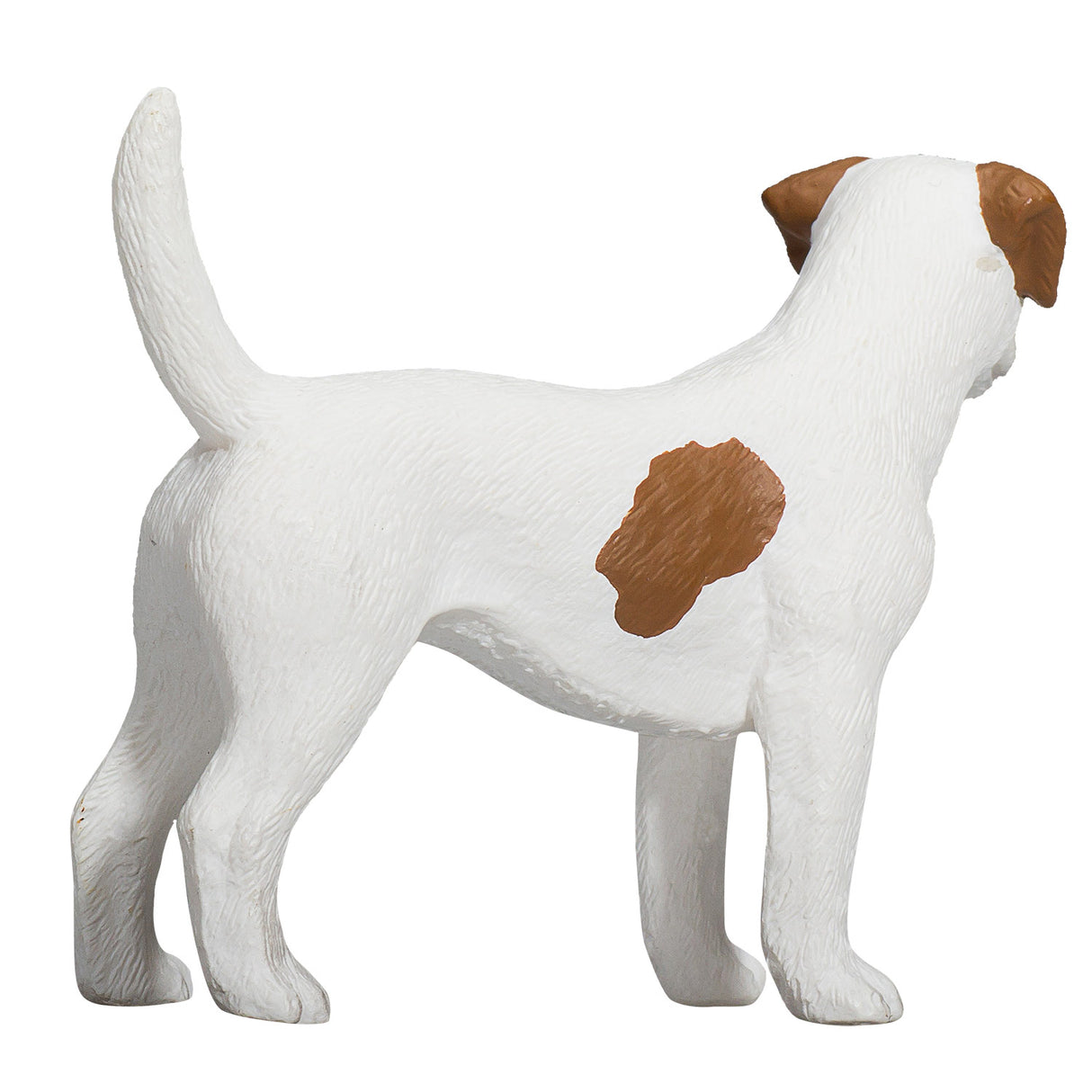 Mojo Ackerland Jack Russell Terrier 387286