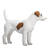 Mojo Bauereland Jack Russell Terrier 387286