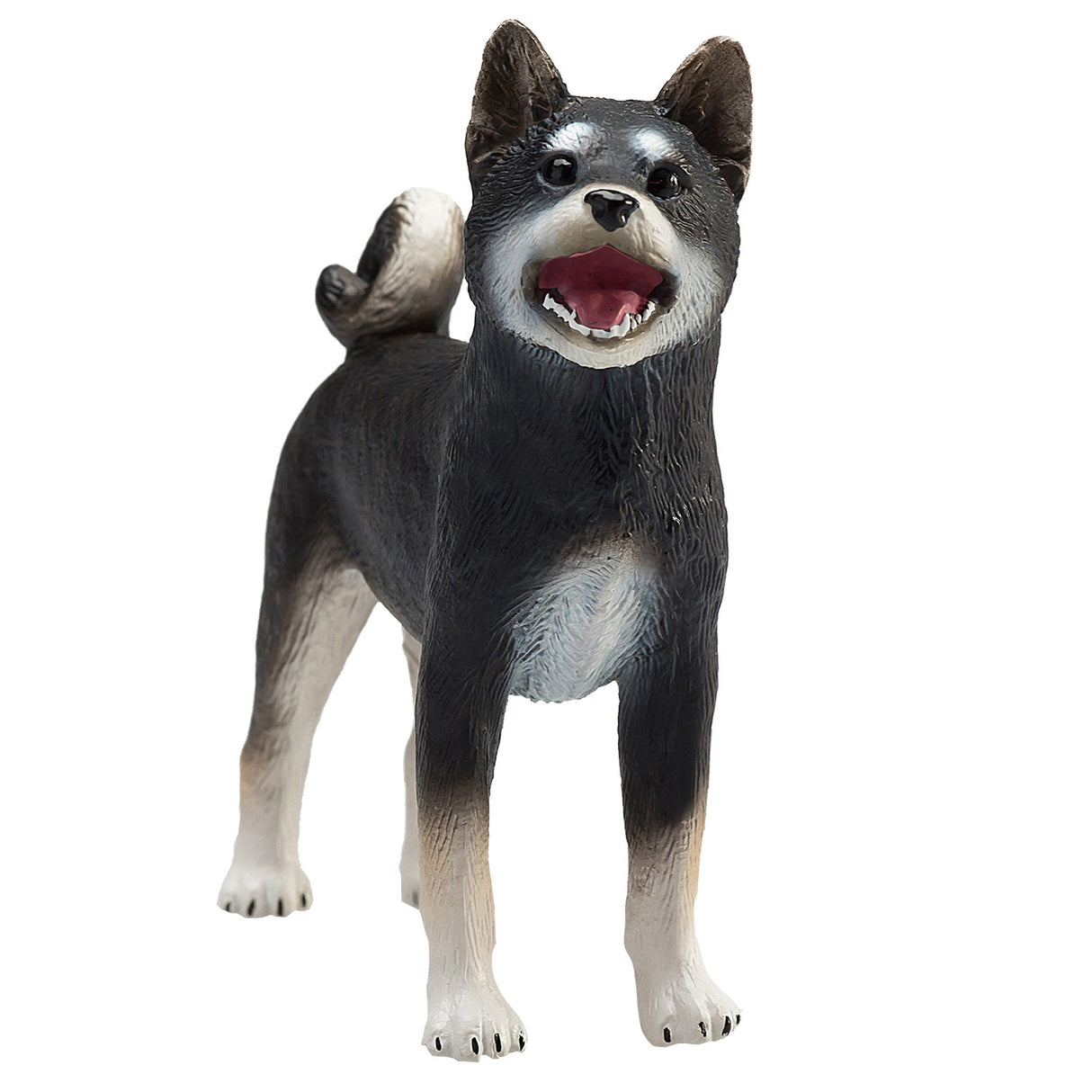 Mojo Ackerland Shiba Inu Black 387363