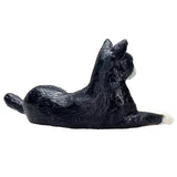 Mojo Grabi Lews Cat Black and White 387367