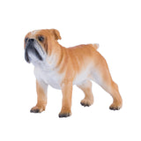 Mojo Bauereland Englesch Bulldog 381053