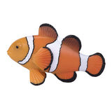 Mojo Bauereland Clownfish 387090