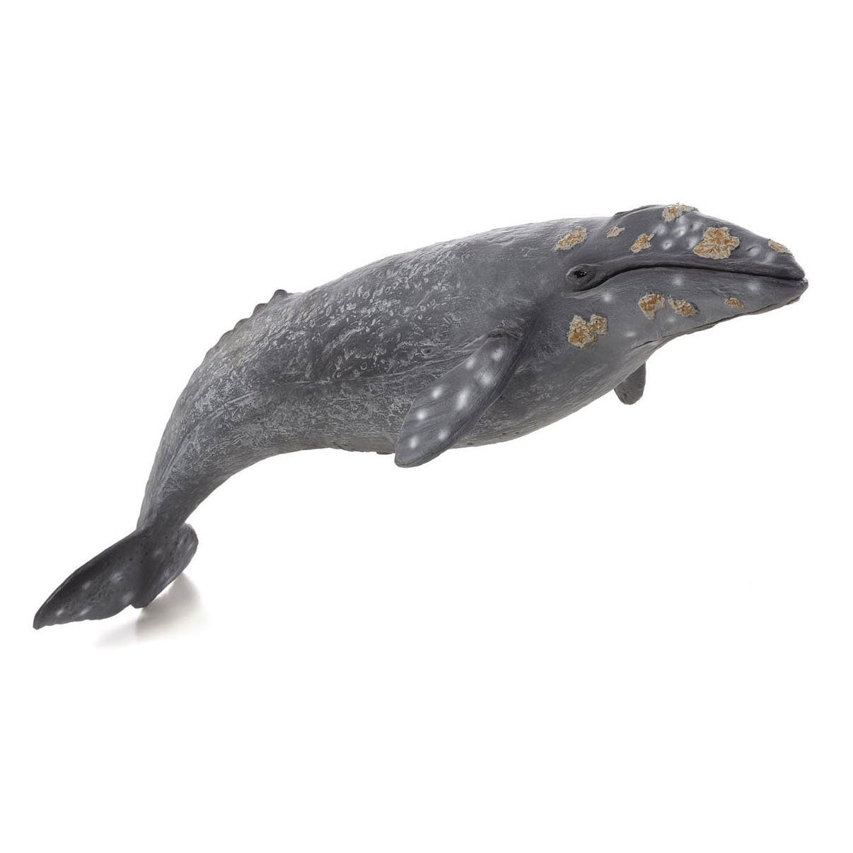 Mojo Sealife Grijze Walvis 387280