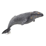 Mojo Senafe Gray Whale 387280