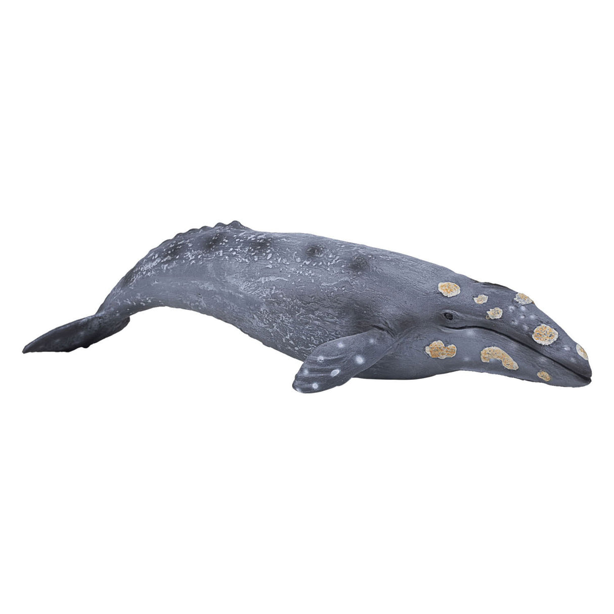 Mojo Sealife Grijze Walvis 387280