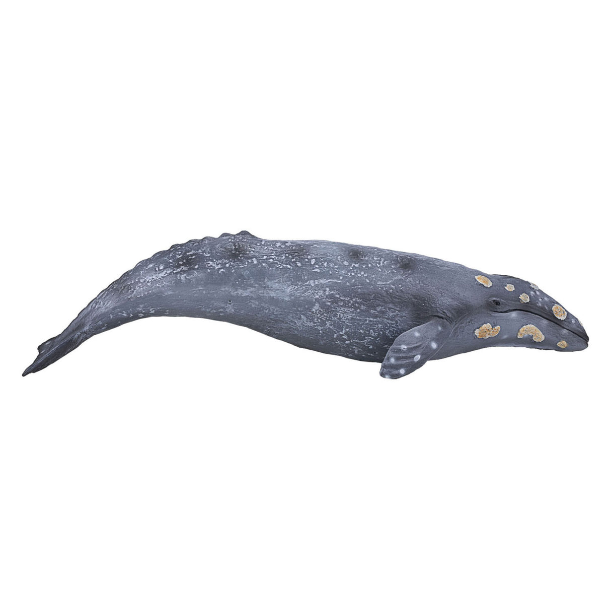 Mojo Sealfe Grey Whale 387280