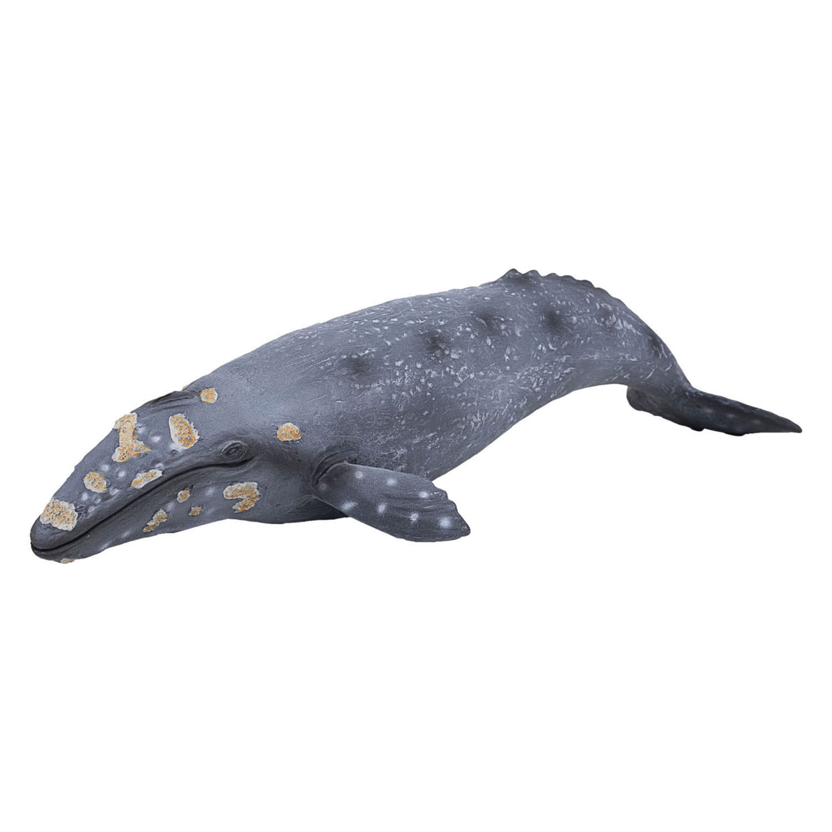 Mojo Sealife Ballena gris 387280