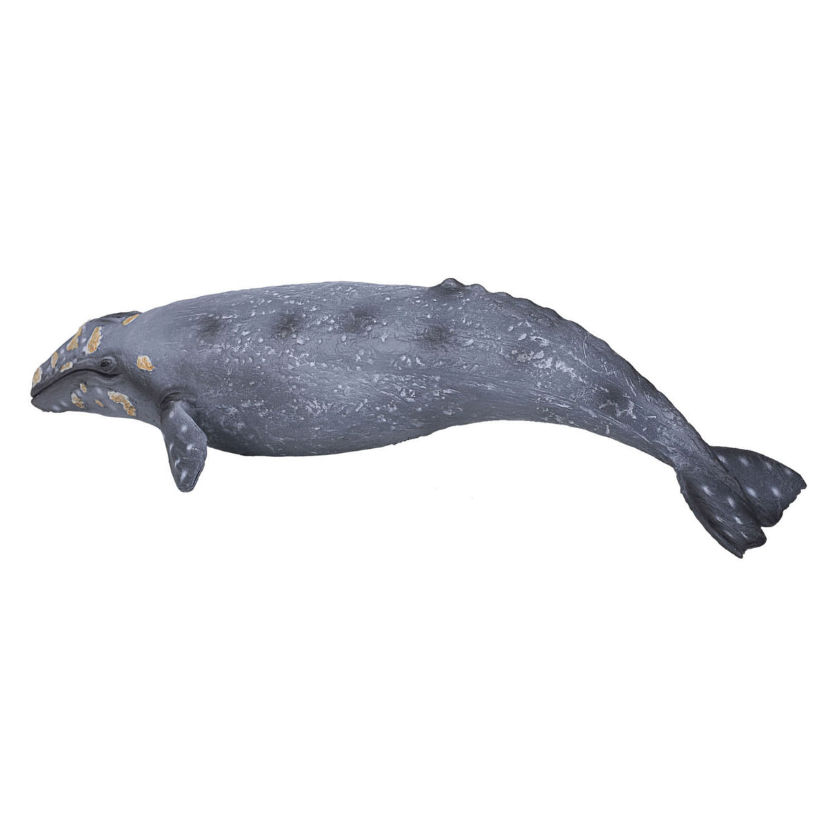 Mojo Sealife Grijze Walvis 387280